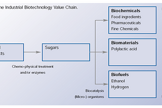 INDUSTRIAL BIOTECHNOLOGY