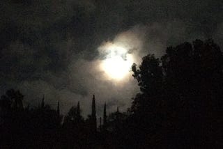 Gloomy night sky, full moon obscured by marine layer and tree silhouettes.