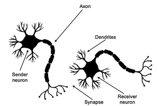 A Crash Course On Brain-Computer Interfaces