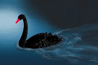 The Black Swans of Crypto — Loft Financial