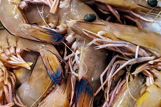 How to Eat Prawns Nose to Tail — Yes, the Heads and Shells, Too!