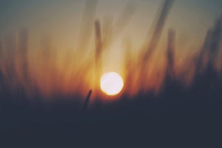 The Art of Being: How Losing Myself Led to True Freedom