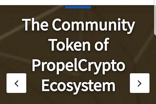 🎯 Introducing PropelCash, PropelCrypto Community Token.