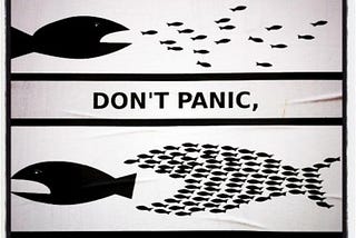 Don’t doomscroll: organise!
