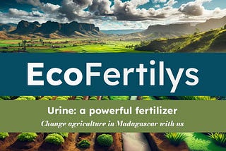 Revolutionizing Madagascar’s agriculture with EcoFertilys: turning urine into gold