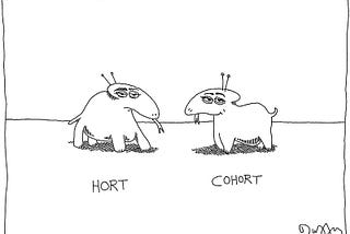 Having a VC Cohort Conversation: What VCs expect from Cohort Analysis