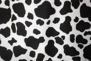 A Cow Print is a Great Way to Show Off Your Personality