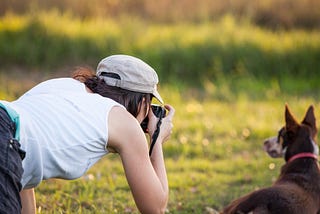 The Dog Photographer