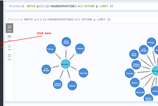 Getting FHIR’ed up with a Graph Database(neo4j)