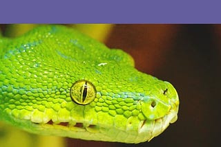 Web scraping with python Course