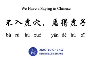 We Have a Saying in Chinese Series #043: 不入虎穴焉得虎子（bù rù hǔ xué，yān dé hǔ zǐ）