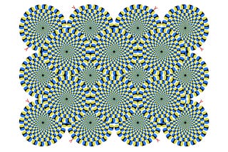 Perception
