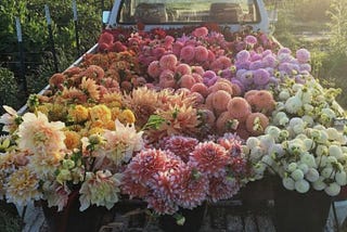 Why Girls Love Getting Flowers