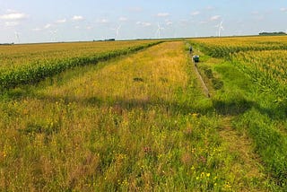 More farmers sought for prairie strips