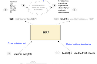 Quantitative evaluation of a pre-trained BERT model