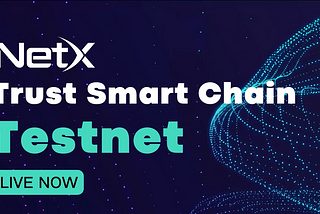 NetX Ecosystem Testnet Tutorial