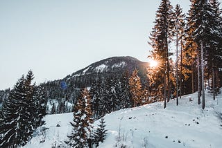 Sunshine on a snowy mountain and forest.