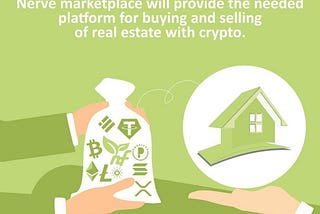 Ecosystem Update 1st October 2024