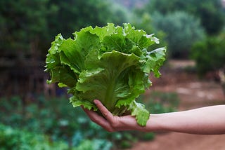 Yes, You Should Wash Lettuce — Here’s How (And How Not) to Do It