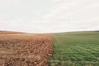 Zero (food) waste on Mars — an example for planet Earth