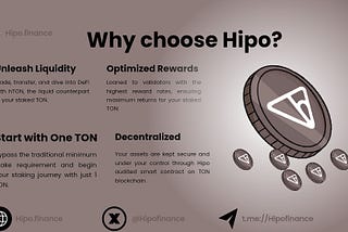 Understanding HiPo Finance and Its Token hTON