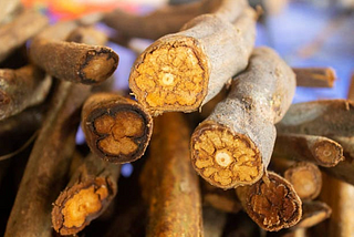 Dr. Joe Tafur, A Physician’s Insight into Ayahuasca Healing and Traditional Amazon Plant Medicine