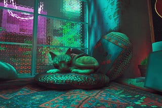 A small orange cat curled up on a pillow. A blue neon light illuminates the room.