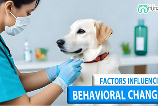 Dog Behavior Change After Vaccination (Possible Causes)