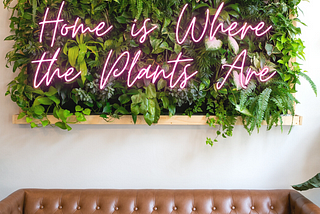 Biophilic Design made easy: 5 Reasons Why Adding Plants to Your Home Can Positively Impact your…