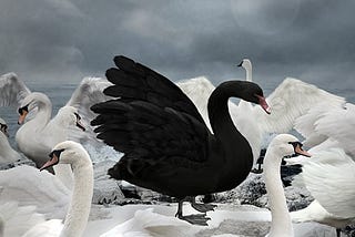 The Black Swan