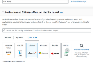 Running an LLM Locally Using Ollama