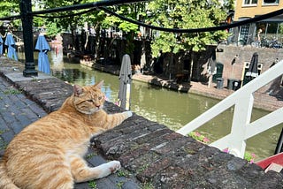 Small Moments of Noticing