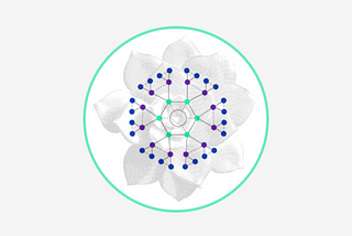 Constellation and Lattice Review of 2020