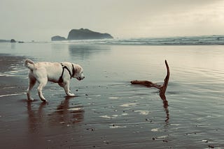 A Trip to Bandon, Oregon