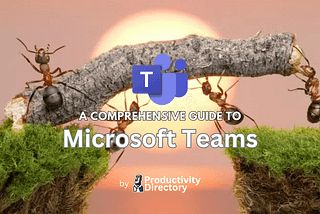 Guide to Microsoft Teams