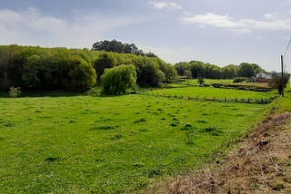 Orígenes del lugar y pazo de Fares (II): Los foros del monasterio de Ansemil del lugar de Fares y…