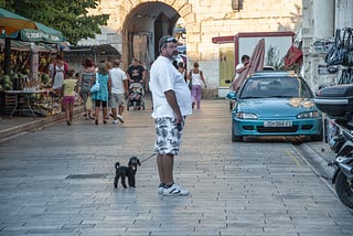 A Large Man’s Insecurities While Walking a Small Dog