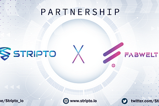Stripto partners with Fabwelt