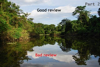 The forest of amazon reviews, part 2 (an NLP story)