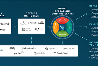 Introducing Wallaroo: The Go-to Platform for Production ML