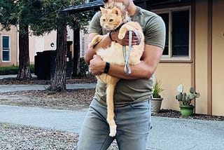 black man holing and orange cat orlando white stanford