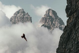Anything Is Possible