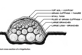 Laying the foundations for a Hügelkultur Garden Bed