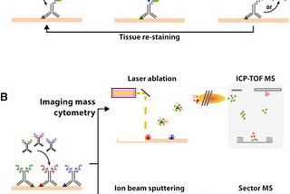 The role of cytometry