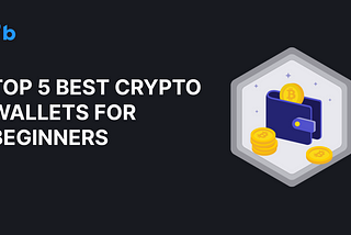 Top 5 Best Crypto Wallets for Beginners