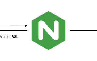 Passing Client Certificate to Backend with Nginx