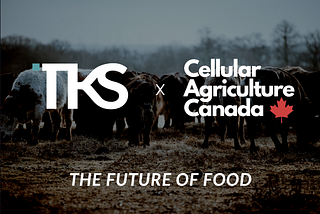 Cellular Agriculture: The Future of Food