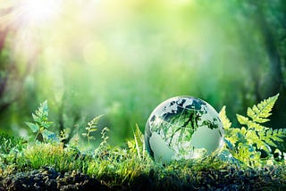 How Business Sustainability Fuels Innovation for a Regenerative World?
