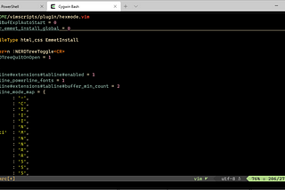 Updated VIM Setup