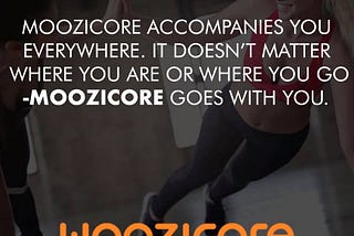 Lets talk about your investments and profit. Moozicore.